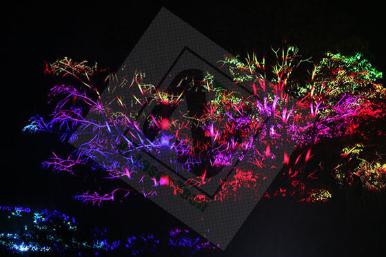 Luzes a laser DJ Disco de alta velocidade para sistema de varredura de tensão de entrada AC100-240V 50/60Hz