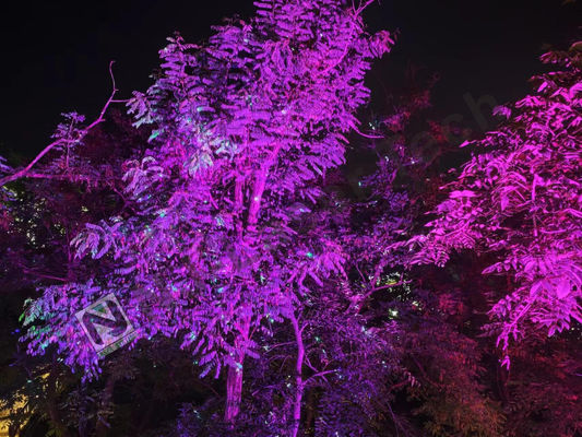 Opções de montagem do ângulo do feixe e do suporte suspenso ajustáveis para o sistema de iluminação de engenharia a laser de nível profissional