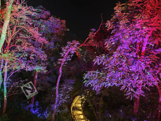10°C-35°C Impressionante Espetáculo de Luz Laser Operação perfeita e estável Para Grandes Eventos