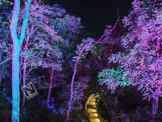 1000mW Laser Show com módulo de scanner XY de alta velocidade e sistema de refrigeração